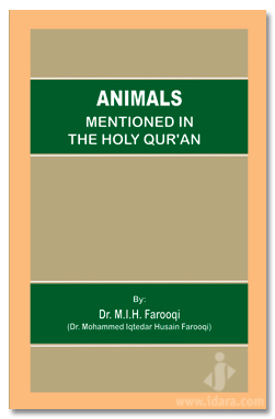 Animals Mentioned In The Holy Quran