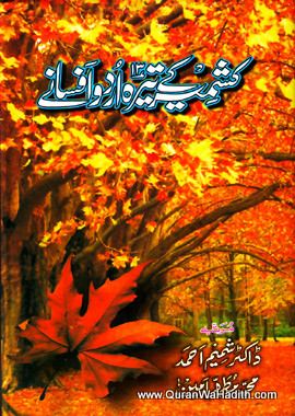 Kashmir Ke 13 Urdu Afsanay, کشمیر کے تیرہ اردو افسانے