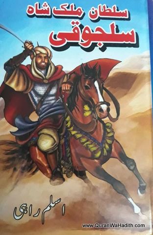 Sultan Malik Shah Saljuki, Novel, سلطان ملک شاہ سلجوقی ناول