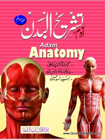 Adam Tashreeh ul Badan, 2 Vols, Colored, Adam Anatomy Urdu, آدم تشریح البدن