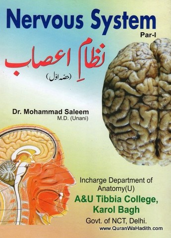 Nizame Asab, Nervous System Urdu, نظام اعصاب