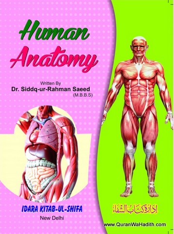 Tashreeh ul Badan Colored | Human Anatomy