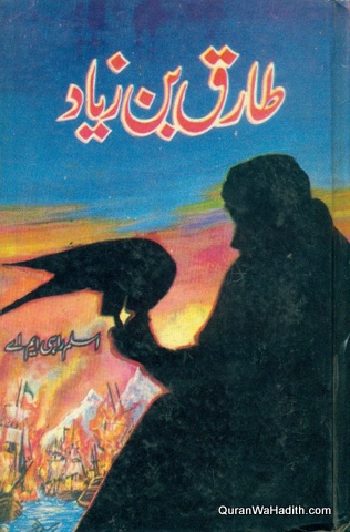 Tariq Bin Ziyad Novel, طارق بن زیاد ناول
