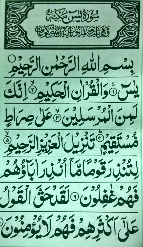 Surah Yaseen 10 Copy 