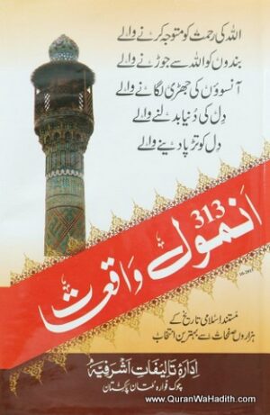 313 Anmol Waqiat
