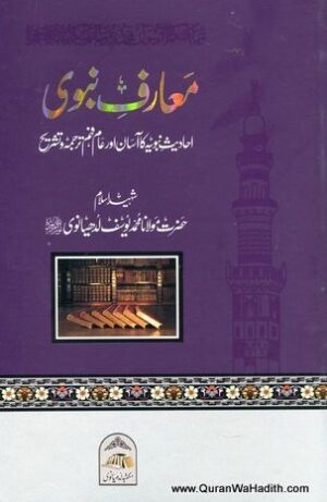 Maarif e Nabvi