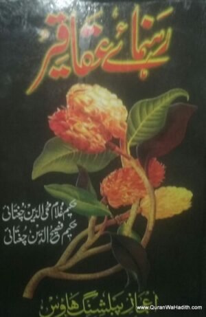 Rahnuma e Aqaqeer