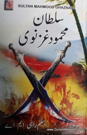 Sultan Mehmood Ghaznavi Novel