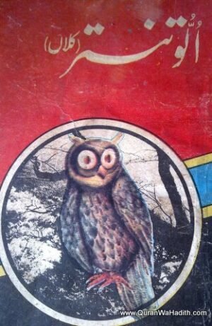Ullu Tantra Book