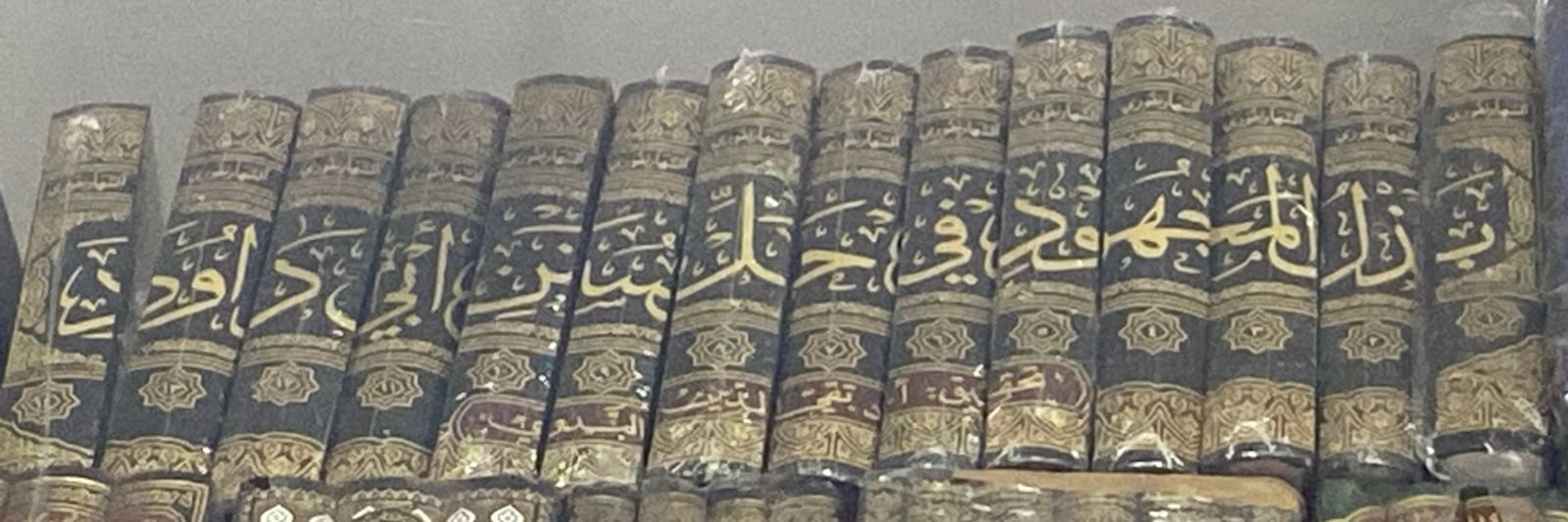 Bazlul Majhood fi hal Sunan Abu Dawood | 14 Vols | بذل المجهود فى حل سنن أبي داود - Image 2