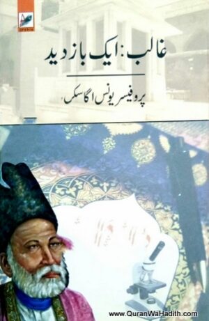 Ghalib Ek Bazdeed