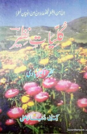 Kulliyat e Nazeer Akbarabadi