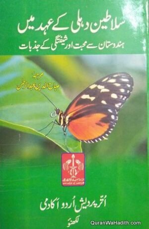 Salateen Delhi Ke Ahad Mein Hindustan