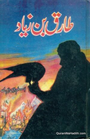 Tariq Bin Ziyad Novel