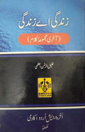 Zindagi e Zindagi