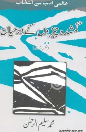 Gumshuda Cheezon Ke Darmiyan