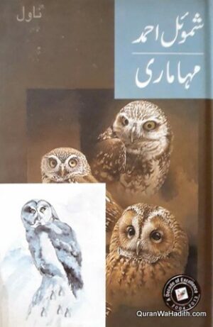 Mahamari Novel