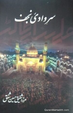 Sar e Wadi e Najaf