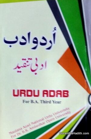 Urdu Adab Adabi Tanqeed
