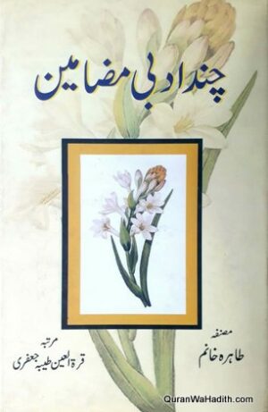 Chand Adabi Mazameen