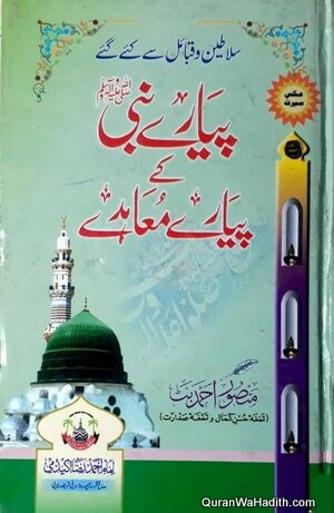 Pyare Nabi Ke Pyare Muahide