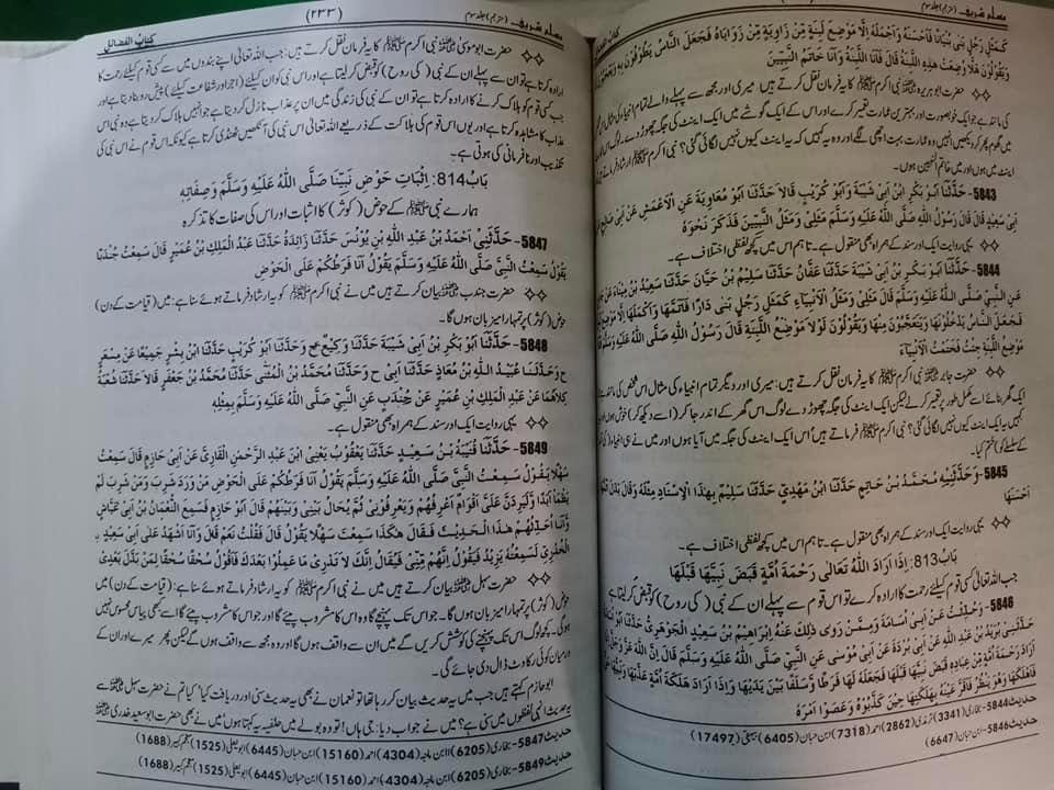 Sahih Muslim Sharif | 3 Vols | صحیح مسلم شریف اردو - Image 3
