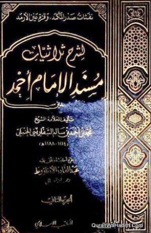 شرح ثلاثيات مسند الإمام أحمد