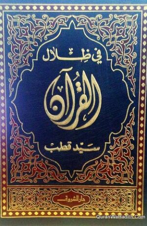 في ظلال القرآن