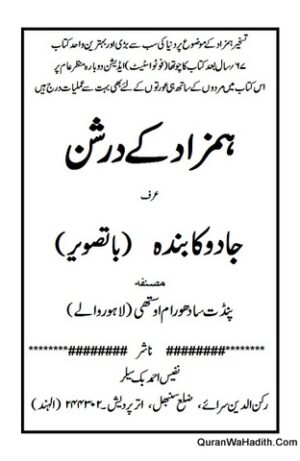 Hamzad Ke Darshan