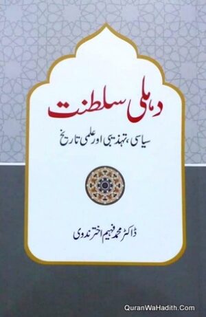 Delhi Saltanat Siyasi Tahzeeb Aur ilmi Tareekh