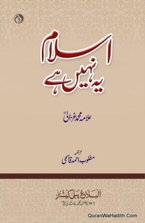 Islam Ye Nai Hai