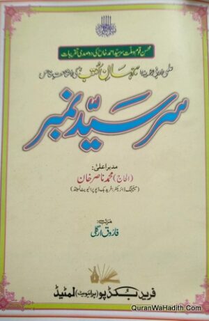 Sir Syed Number
