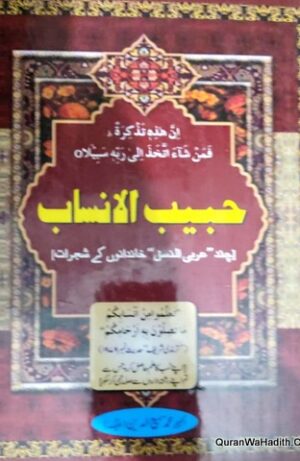 Habeeb ul Ansab
