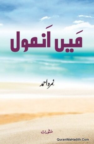 Main Anmol Novel
