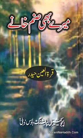 Mere Bhi Sanam Khane Novel, میرے بھی صنم خانے ناول