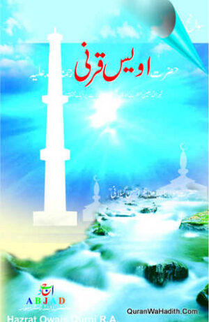 Hazrat Awais Qarni Manazir Ahsan Gilani