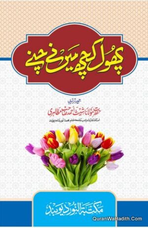 Phool Kuch Mene Chune