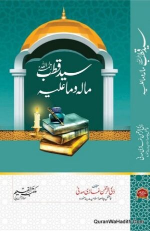 سید قطب مالہ وما علیہ