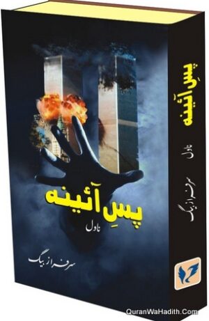 Pas e Aaina Novel
