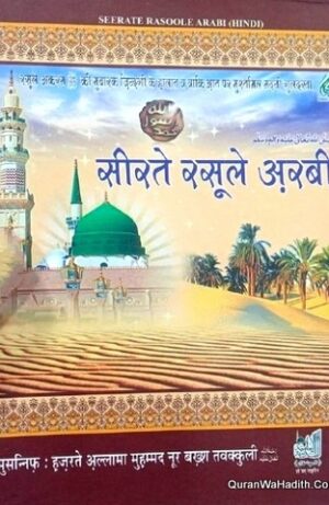 Seerat E Rasool E Arabi Hindi
