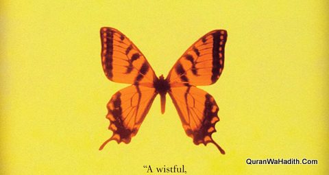 Palak Tak Zindagi Urdu Tarjuma The Diving Bell And The Butterfly, پلک تک زندگی اردو ترجمہ دی ڈائیونگ بیل اینڈ دی بٹرفلائی