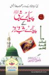 Pyare Nabi Ke Pyare Shab o Roz