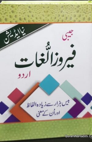 Jadeed Firoz ul Lughat