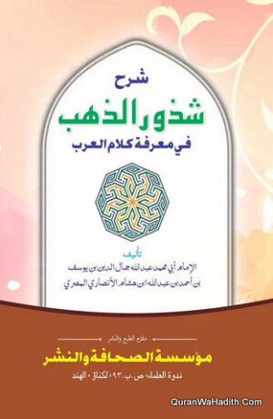 شرح شذور الذهب في معرفة كلام العرب