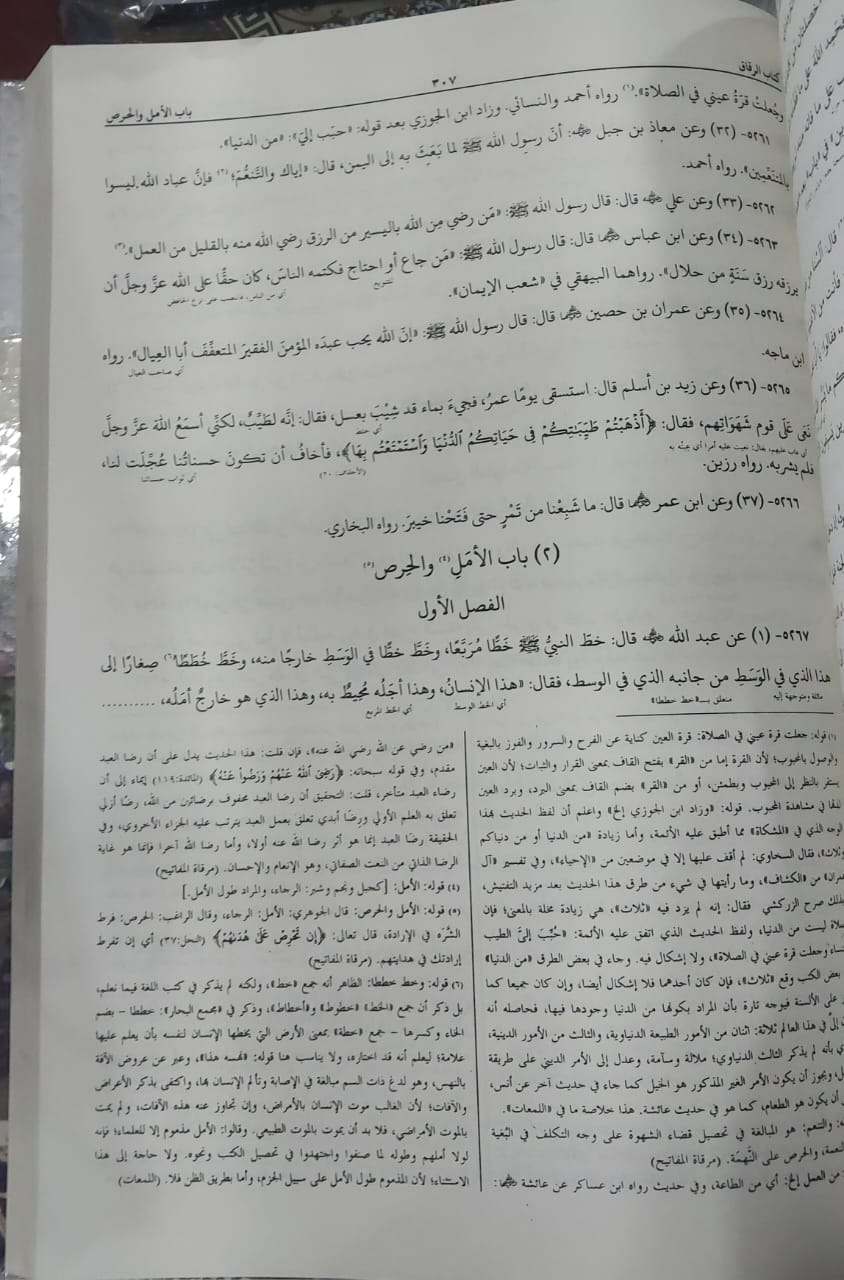Sahih Bukhari Maktaba Bushra | Indian Print | 4 Vols | صحیح بخاری مکتبہ بشریٰ - Image 2