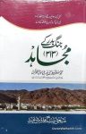 Jung e Badr Ke 313 Mujahid