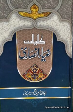 Kulliyat e Zia Ansari