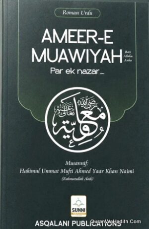 Ameer e Muawiya Roman Urdu