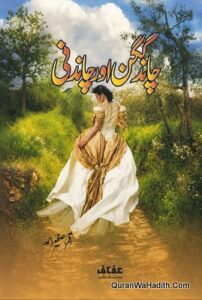 Chand Gagan Aur Chandni Novel