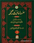 سلسلہ احادیث صحیحہ